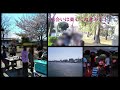 アウトドアの楽しみながらの婚活を応援☆キャンマリーの女性企画パーティー★お1人でも気軽に参加☆素敵な出会いを💛