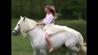 Музыкальный клип