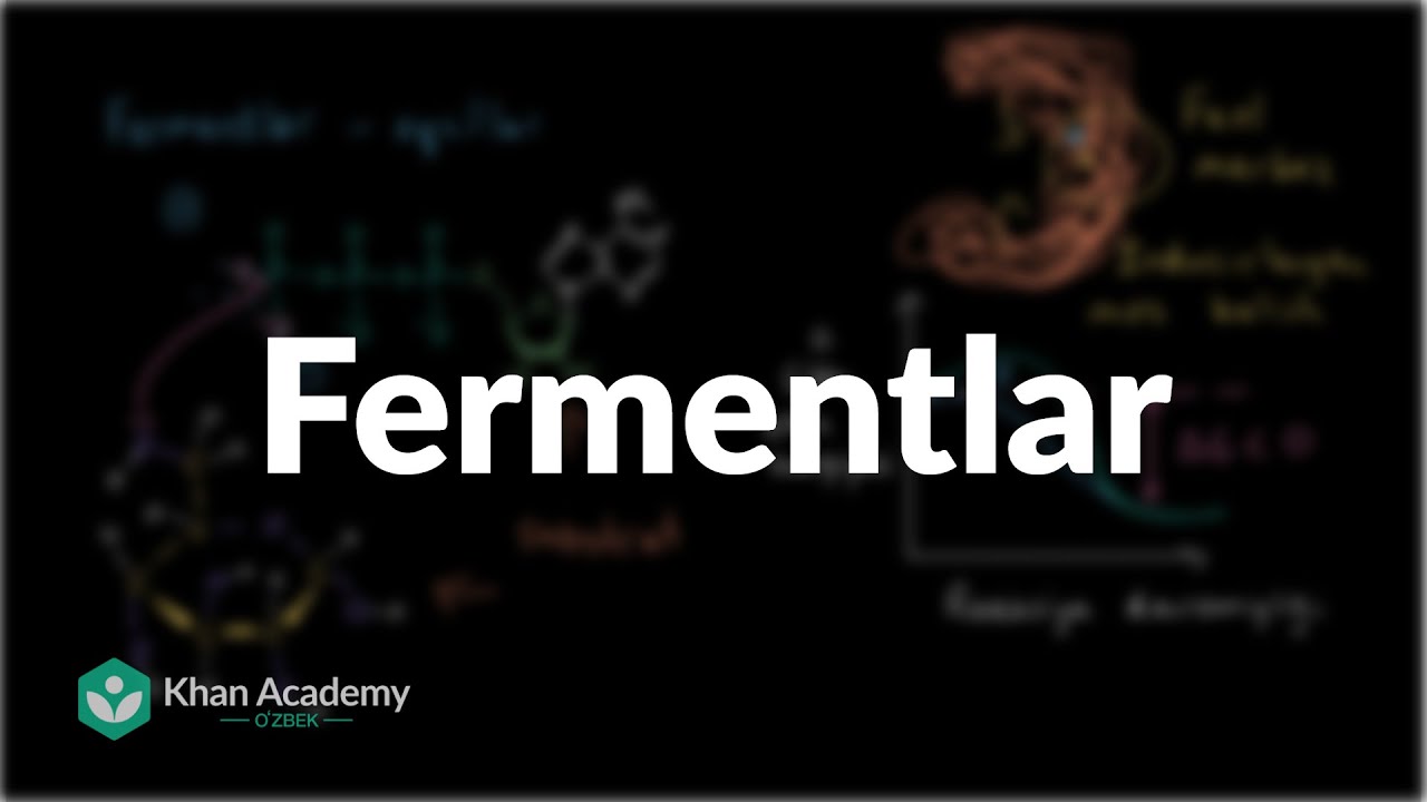 Fermentlar | Energiya va fermentlar | Biologiya