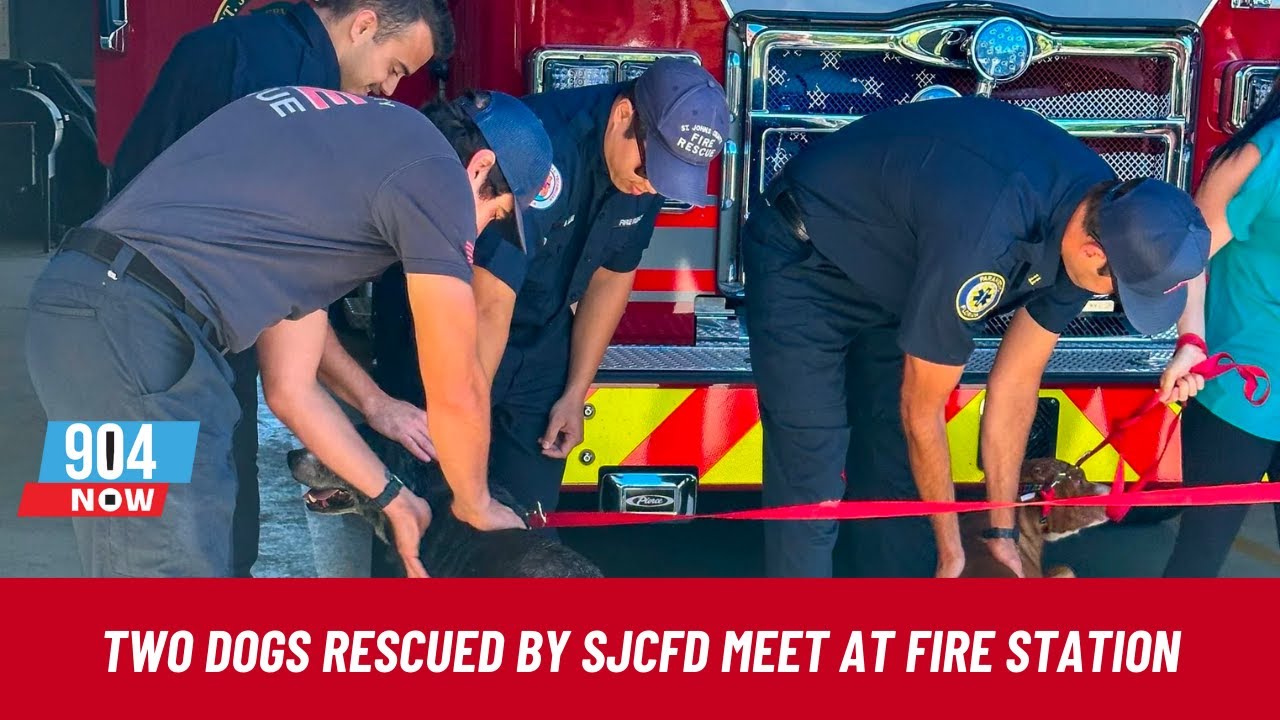 Two dogs who were rescued by SJCFD meet the firefighters who saved them | STOITM | April 5, 2024