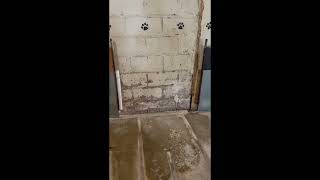 Were Building A Sanctuary Of Hope And Were Just Getting Started