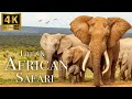 Africa Wildlife In 4K - The Life Of Animals In African Safari | Animal Relaxation Film