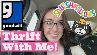 Squishmallow Hunting Thrifting Plushies