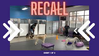 What Do You Know About The Daycare Games?