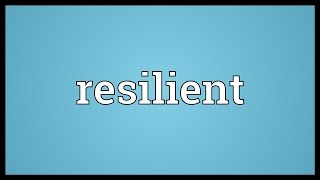 Resilient Meaning Net Worth