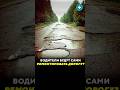 Беларусы будут сами ремонтировать дорогу? / Новости #дорога #пдд #ремонт #авто #асфальт #парковка