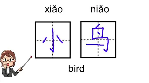小鸟 'birds' / Write Chinese characters #learnchinese  #chinesewriting