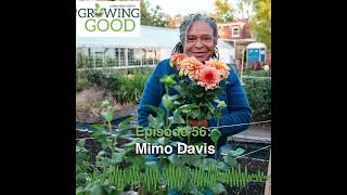 Hobby Farms Presents: Growing Good (Ep. 56, Mimo Davis)