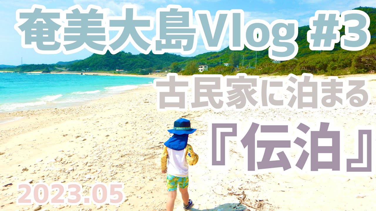 【奄美大島Vlog #3】古民家に泊まったよ！『伝泊』
