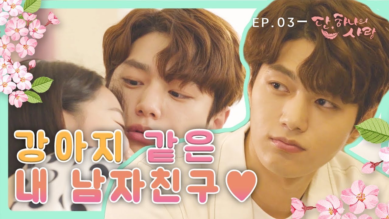 [꿀드] [단, 하나의 사랑 모음ZIp] 엇↗↗ 어디서 멍멍 소리 안나?? 인간 댕댕이 그 자체 명수☞☜