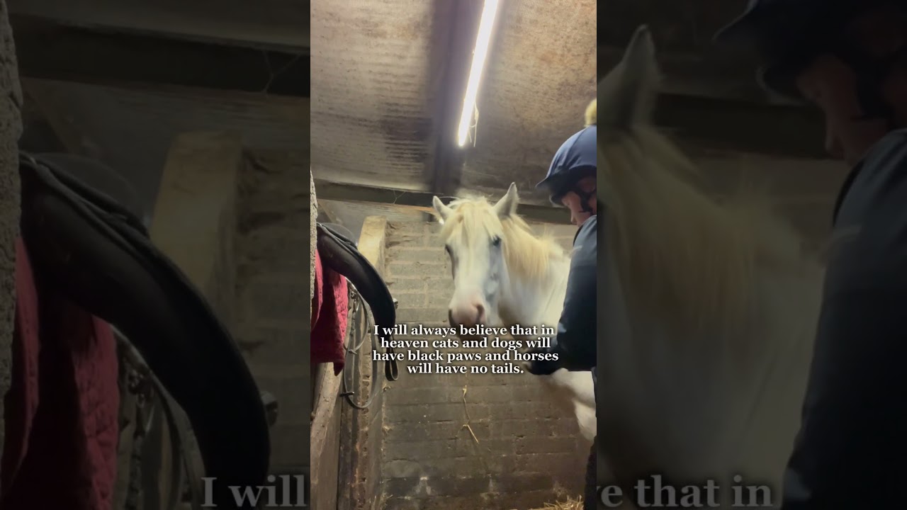 🫶❤️‍🩹🙏 | tags: 