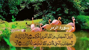 تلاوة عطرة بداية الزمر للعبد الفقير لله أكرم النافع .