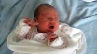 Daisy Announces Her Arrival