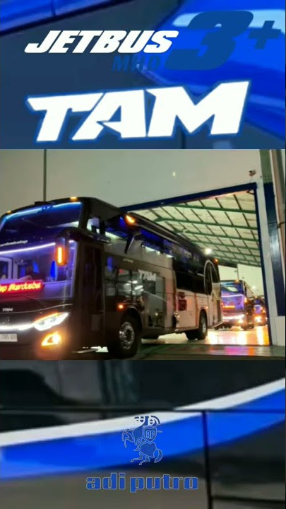 Bus TAM(kardus balap), Pendatang Baru Bus AKAP