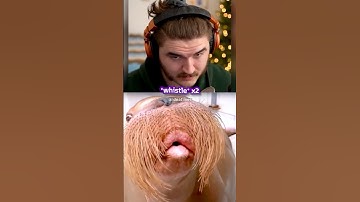 Schlatt Says The UNTHINKABLE