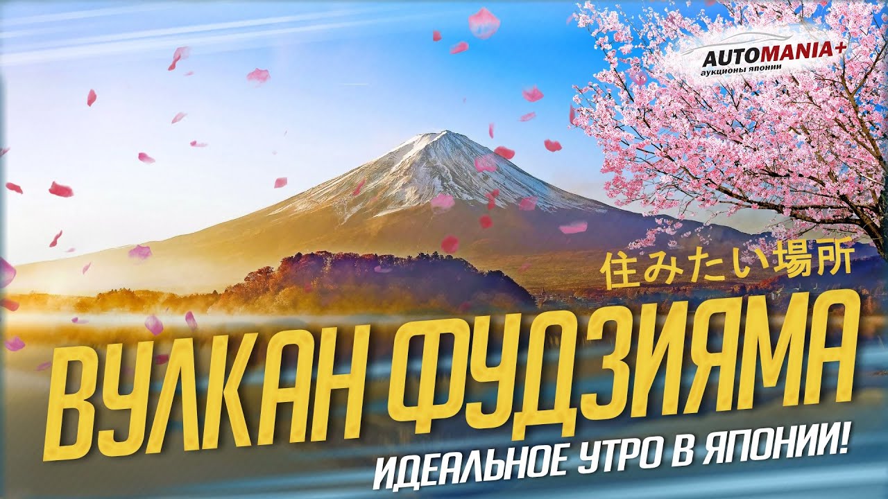 VLOG #7. ФУДЗИЯМА, ЛЕС САМОУБИЙЦ, СКОРОСТНЫЕ ПОЕЗДА. Заключительный ...