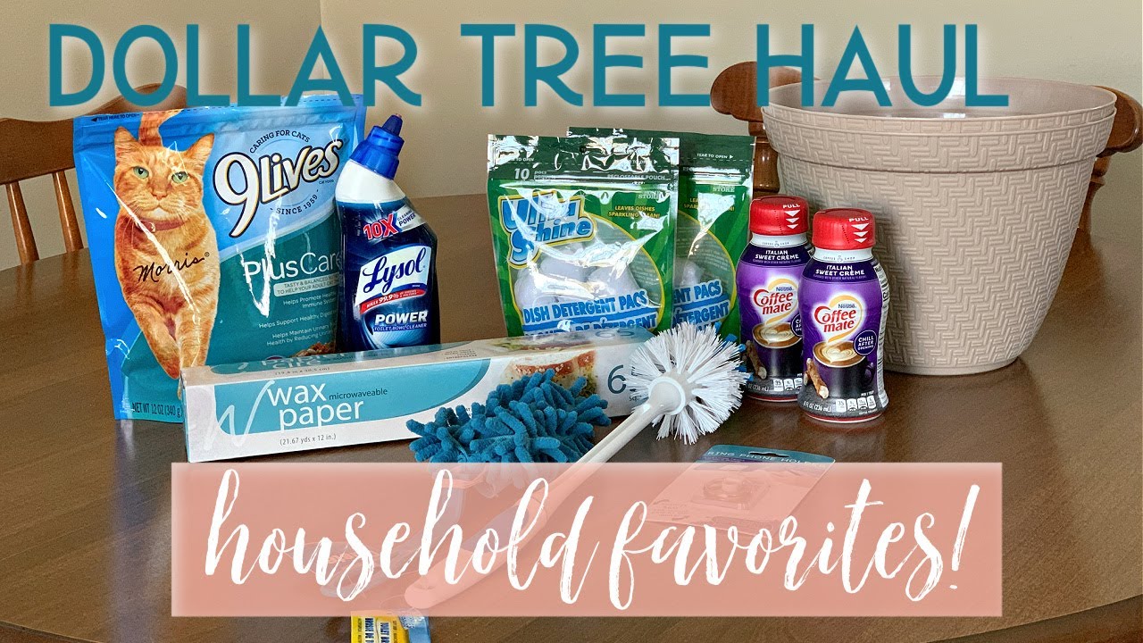 Dollar Tree Haul – Cheap and Fun Travel Activities For Kids - Money tips  for moms