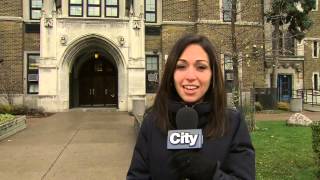 Tdsb Apologizes For Sugar Advocate Group