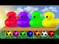 Teaching Colors to Children, A Song in English With The Duck and Colored Balls @Colorsong