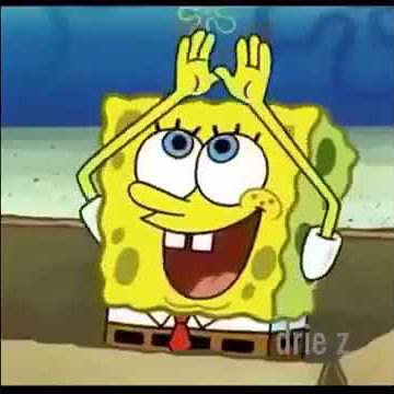Spongebob -Bacod