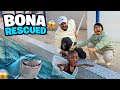 WE RESCUED BONA FROM UNDER THE WATER LIVING 24 HOURS IN FORM HOUSE ANAS ALI VLIGS