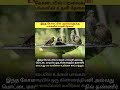 இந்த கோடையில் உங்கள் தாராசில் ஒரு கிண்ணம் தண்ணீர் வையுங்கள்… ஆயிரம் உயிர்களை காப்பாற்றுங்கள்! 🐦💧
