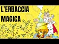 Ecco un'erbaccia magica: la portulaca oleracea!