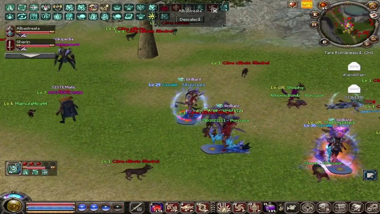 Metin2 Tara Romaneasca tentativa generala cu rosii #2