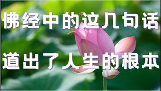 佛经中的这几句话  道出了人生的根本