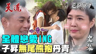 天道 EP47 完整版｜全體戀愛ING｜FIGHT FOR JUSTICE｜【PP塑崩褲氣動版】