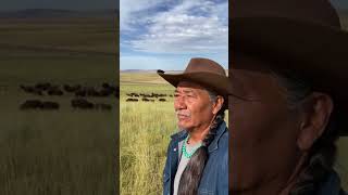 Lessons From The Prairie A Native Elders Advice For A Peaceful Life