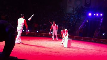 0974 182 559,dịch vụ xiếc ảo thuật,dịch vụ hề xiếc,xiếc ảo thuật