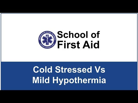 Video: Mild Hypertermi Genom MR-styrd Fokuserad Ultraljud I En Ex Vivo-modell Av Osteolytisk Bentumör: Optimering Av Den Spatio-temporala Kontrollen Av Den Levererade Temperaturen