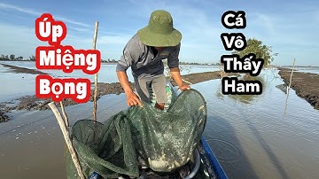 Úp Miệng Bọng Khi Nước Rút Cạn "Trúng Cá" Ai Thấy Cũng Mê | Bông Lúa Đồng Tháp