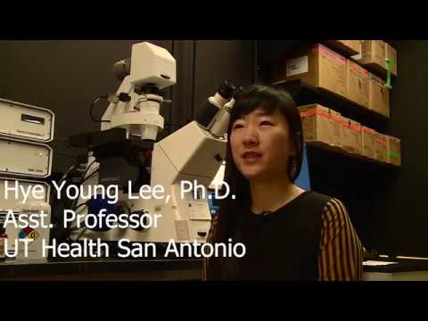 Animal Models in Biomedical Research - YouTube