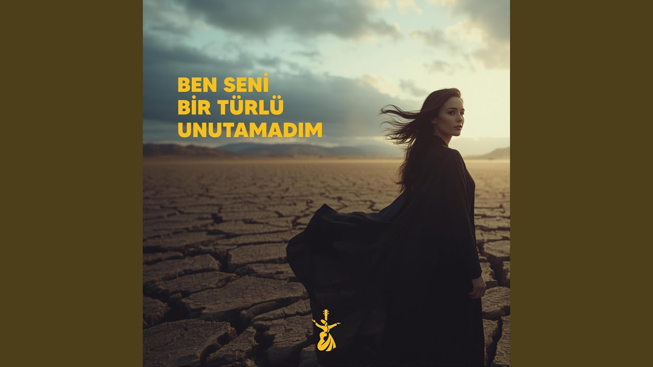 Ben Seni Bir Türlü Unutamadım