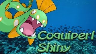 Coquiperlclamperl 2Ème Du Nom En 1128 Rencontres