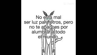 Mr.wolf.howl te aconseja