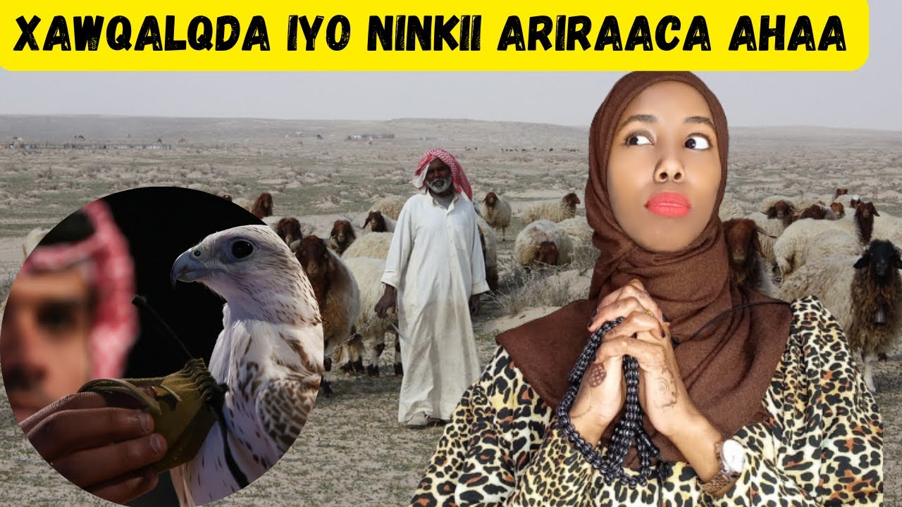 XAWQALADA|| IYO NINKII SUUDAANIGA AHAA EE ( ARI RAACA AHAA) ....GORGORKII MUCJISADA AHAA.