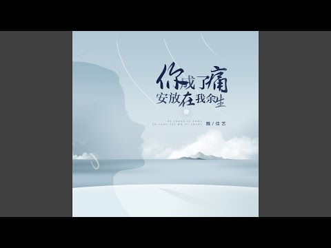 你成了痛安放在我余生 (DJ沈念版 伴奏)