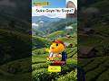 yuk kenalan dengan suku gayo dari aceh. #suku #gayo #animasi #belajarseru #shortsanak