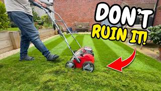 How to Scarify Your Lawn WITHOUT Ruining It! @NoviceGardener