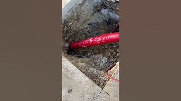 Next Level in Action