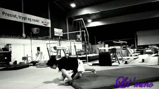 Christan mini sampler 2011.mp4
