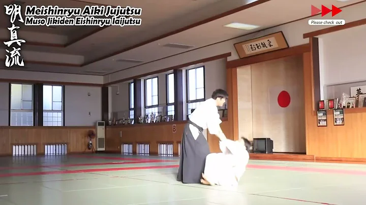 Meishinryu Aikido techniques  2023 0108