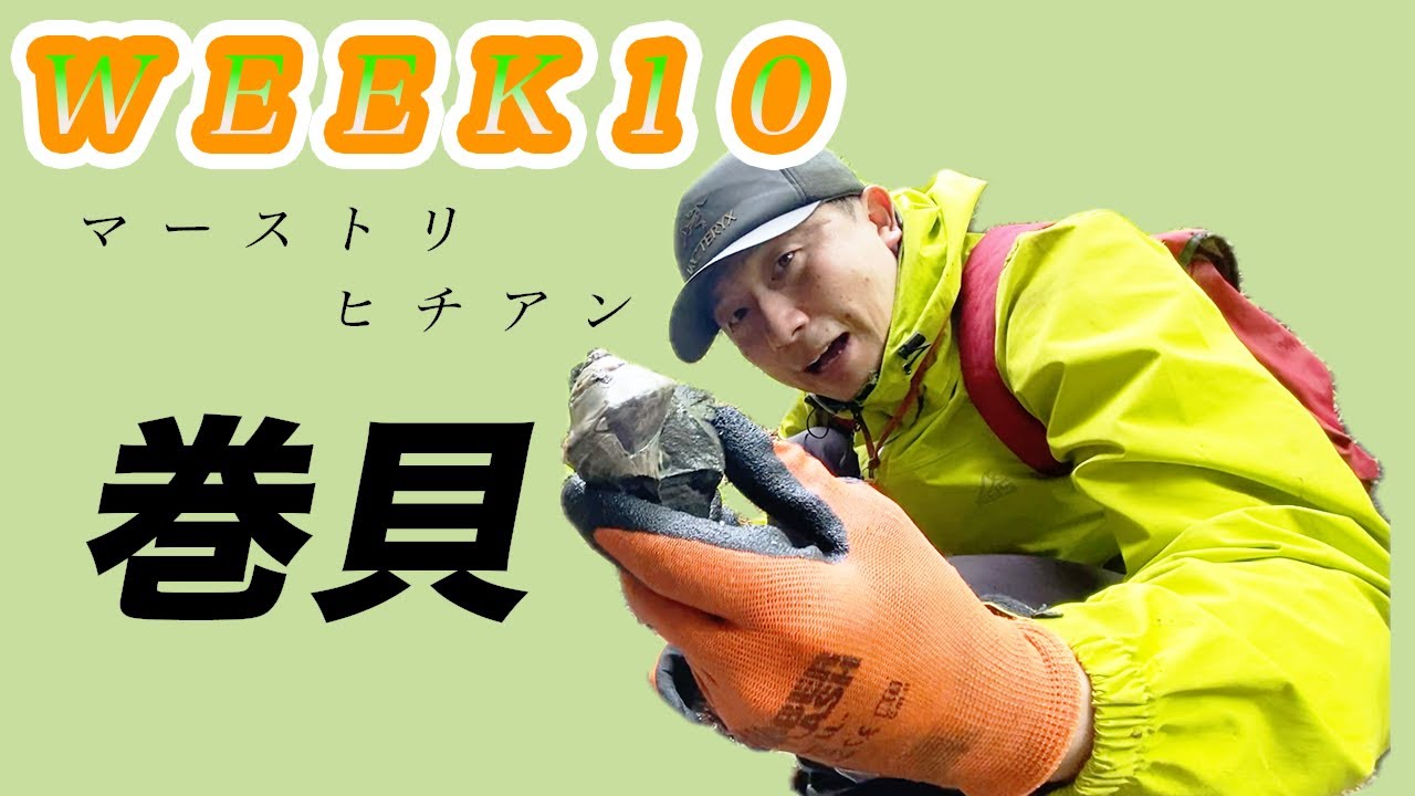 【S6】WEEK10 　白亜紀後期マストリの巻貝をGET！次に繋げたい。＃化石発掘＃恐竜＃むかわ町穂別