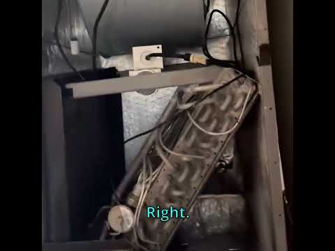 Mold Kept Coming Back Despite 3 UV Lights. Here's What Fixed It