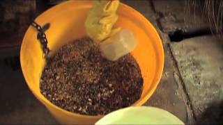 A Feature on Equine Nutrition