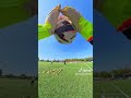 #goalkeeper