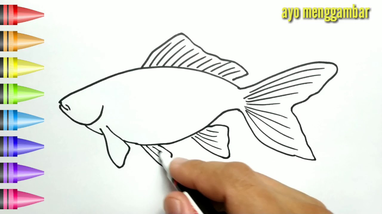 20 Gambar Kartun Ikan Mas Gambar Phone Tips